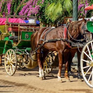 Marrakech Grand Discovery with Horse Carriage